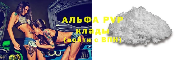 дживик Мегион