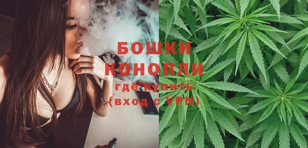 дживик Мегион
