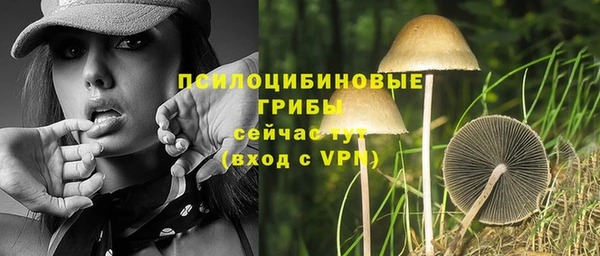 дурь Медвежьегорск