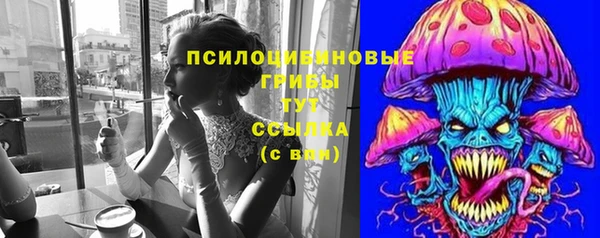 дживик Мегион