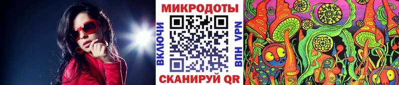 Купить закладки  Людиново  Галлюциногенные грибы Psilocybine cubensis 