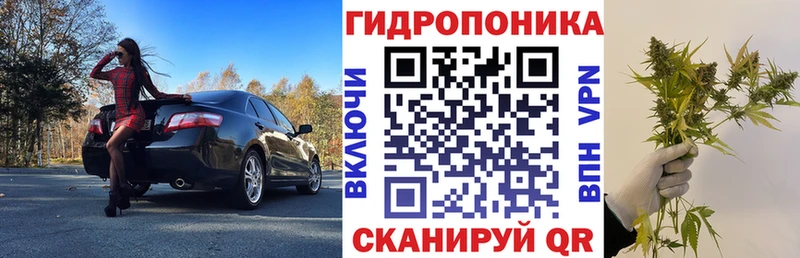 Купить где  Людиново  Конопля VHQ 
